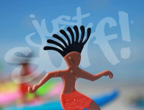 Surfer Dudes Toy Design